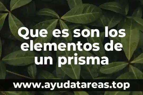 Por qué es buena el agua de arnica 3 Que es son los elementos de un prisma