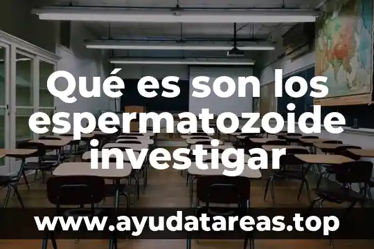 Qué es son los espermatozoide investigar