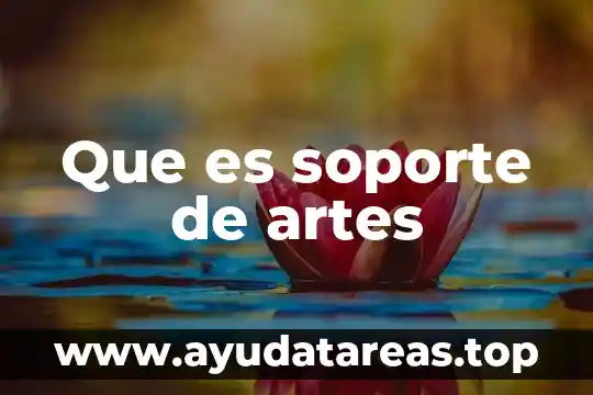 Que es soporte de artes