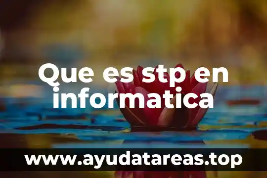 Que es mui informatica 8 Que es stp en informatica