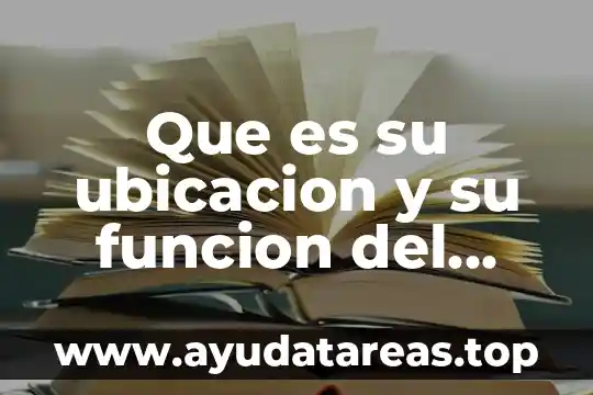 Que es su ubicacion y su funcion del citoplasma