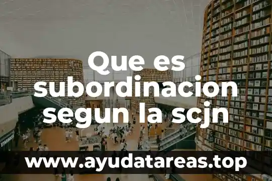 Que es el signo segun barthes 6 Que es subordinacion segun la scjn