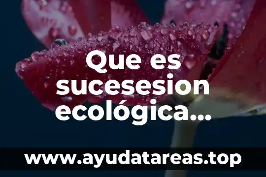 Que es una mandala para niños de primaria 3 Que es sucesesion ecológica primaria