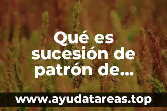 Que es una sucesion ecologica tipos 8 Qué es sucesión de patrón de figuras ejemplos
