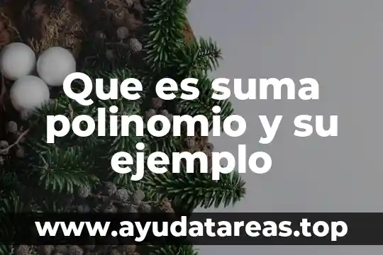 Que es suma polinomio y su ejemplo