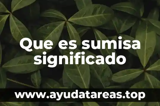 Qué es cocuyos significado 8 Que es sumisa significado