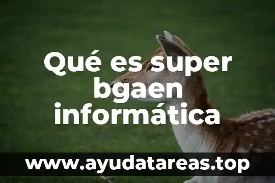 Para que es buena la super luna 4 Qué es super bgaen informática