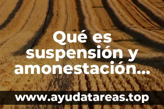 Qué es la suspensión del agua 5 Qué es suspensión y amonestación en derecho penal