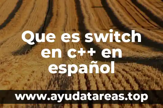 Que es switch en c++ en español