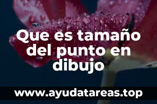 Que es tamaño del punto en dibujo