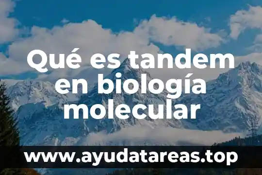 Que es un compuesto molecular en quimica 7 Qué es tandem en biología molecular