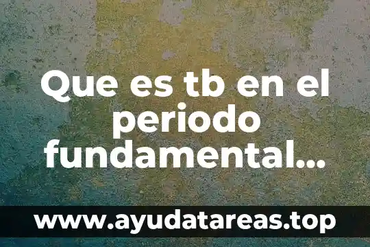 Que es tb en el periodo fundamental de vibrar