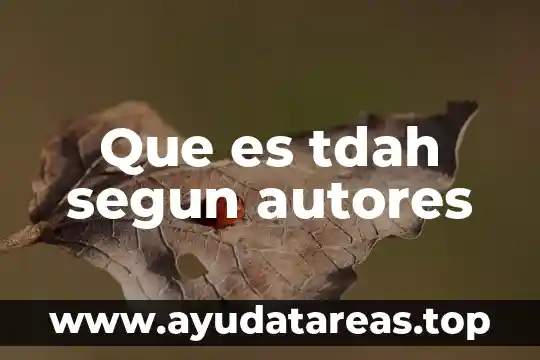 Que es un principio en metodologia segun autores 3 Que es tdah segun autores