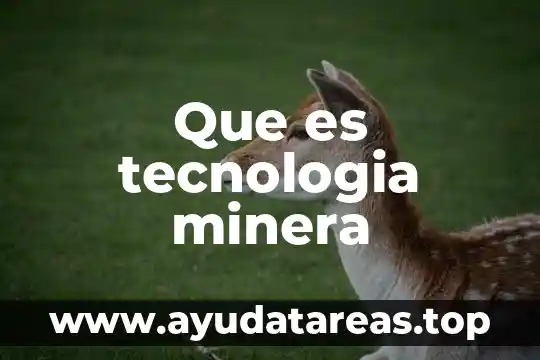 Que es fetiche en el amor 4 Que es tecnologia minera