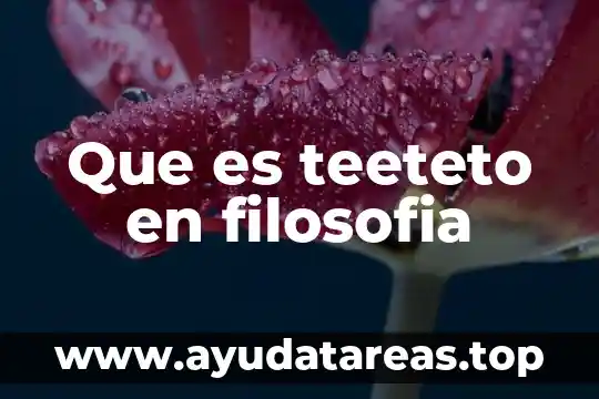 Que es teeteto en filosofia