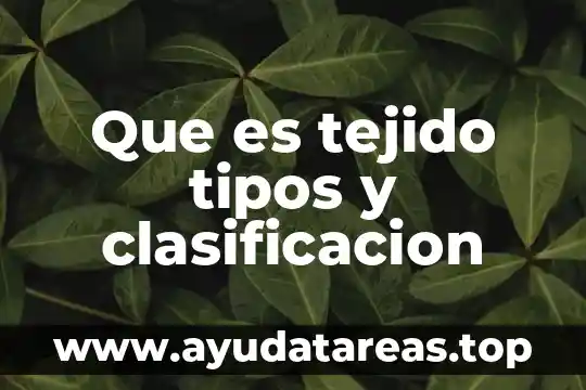 Que es tejido tipos y clasificacion