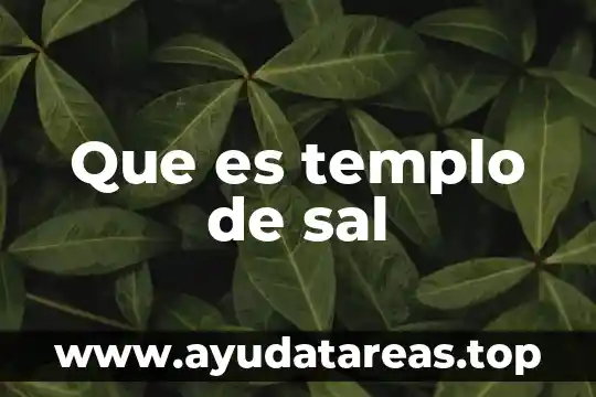 Conclusión de que es sal y sus propiedades 4 Que es templo de sal