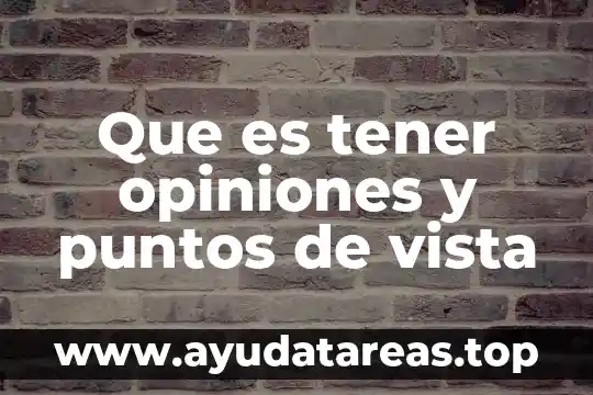 Que es tener opiniones y puntos de vista