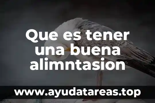 Que es tener etica de vida 4 Que es tener una buena alimntasion