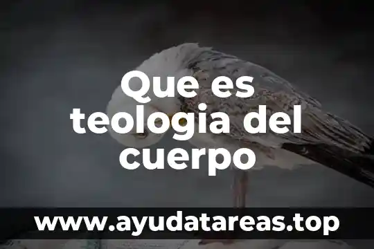 Qué es offshoring significado 4 Que es teologia del cuerpo