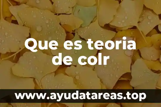 Que es teoria de colr