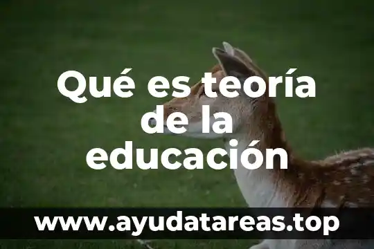 Por que es importante la educacion preparatoria 7 Qué es teoría de la educación