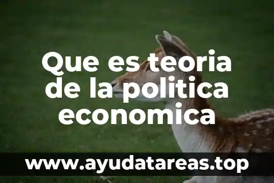 Qué es la teoría económica funcional 5 Que es teoria de la politica economica