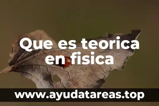 Que es teorica en fisica