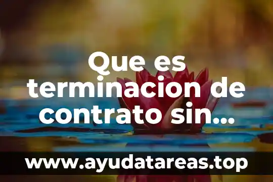 Que es causa y consecuencia de la revolucion mexicana 4 Que es terminacion de contrato sin justa causa