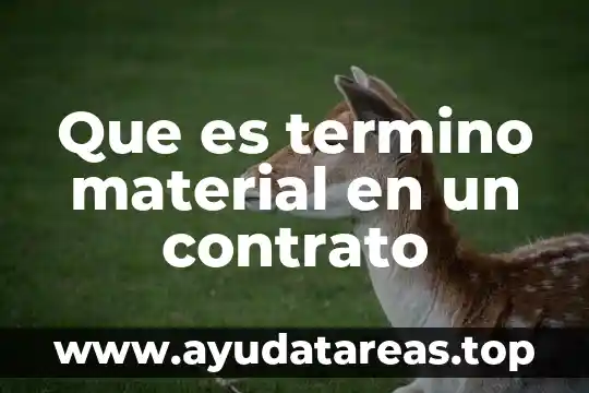 Que es un ataque quimico en termino de metalografia 6 Que es termino material en un contrato