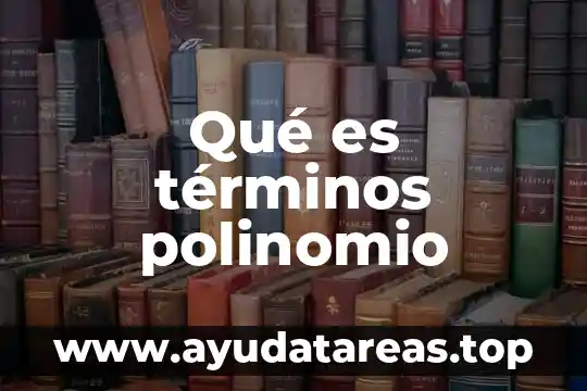 Qué es términos polinomio