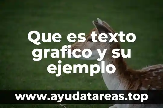 Que es un grafico de serie 4 Que es texto grafico y su ejemplo