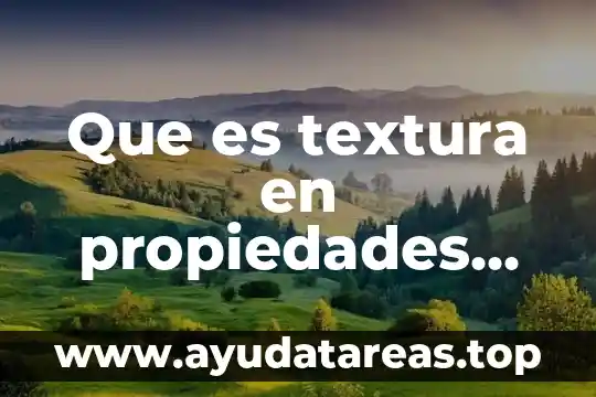 Que es textura en propiedades fisicas