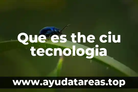 The sssay que es y tipos 5 Que es the ciu tecnologia