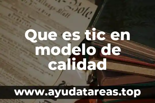 Que es lo que pide la aduana al importar 4 Que es tic en modelo de calidad