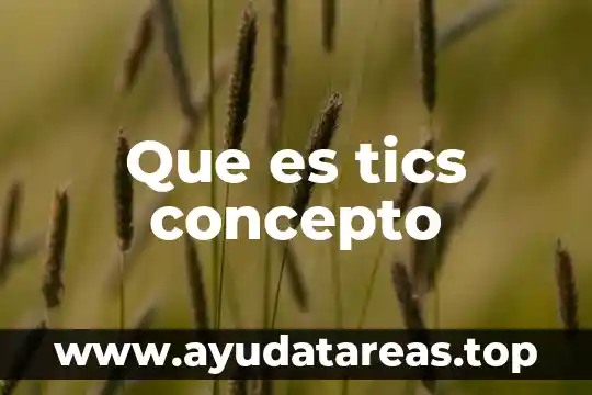 Que es tics concepto