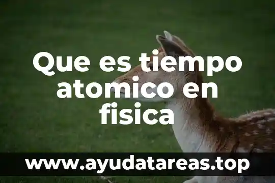 Qué es el número atómico de los elementos químicos 5 Que es tiempo atomico en fisica