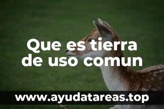 Agua de uso recreativo que es 5 Que es tierra de uso comun
