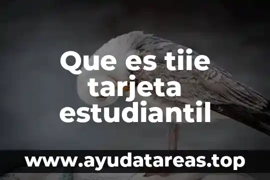 Que es tiie tarjeta estudiantil