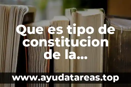 Que es tipo de constitucion de la organizacion social