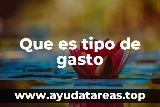 Que es el gasto publico ejemplos 7 Que es tipo de gasto