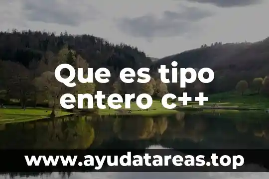 Que es tipo entero c++