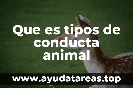 Qué es un animal endémico 3 Que es tipos de conducta animal