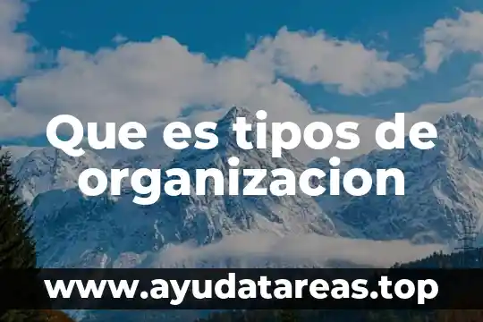 Que es organizacion y que tipos hay 8 Que es tipos de organizacion