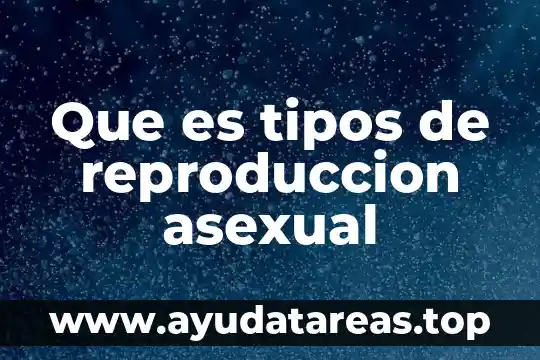 Que es reproduccion asexual tipos 6 Que es tipos de reproduccion asexual
