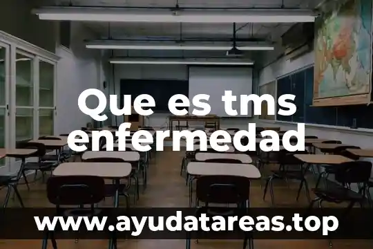 Que es el ong y sus tipos 4 Que es tms enfermedad