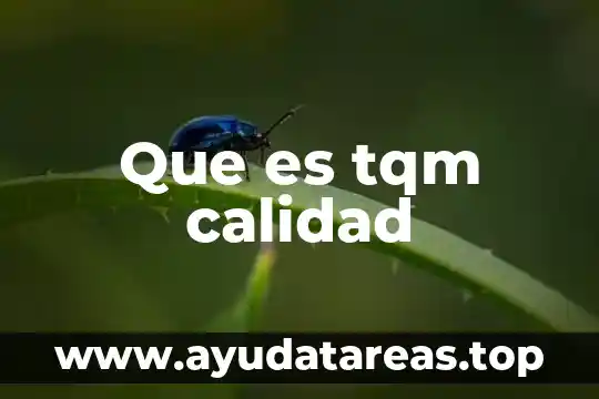 Que es tqm calidad