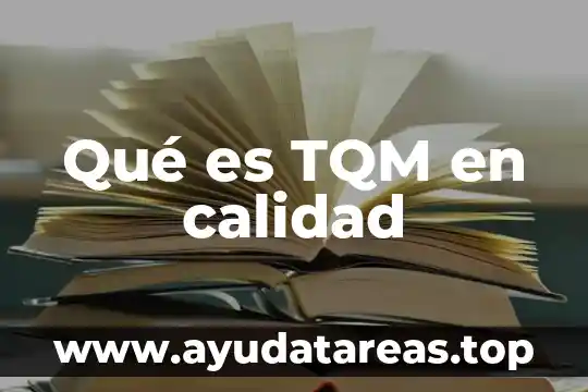 Qué es TQM en calidad