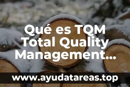 Qué es TQM Total Quality Management según autores