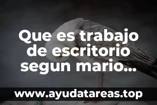 Mario benedetti que es lo nuestro significado 8 Que es trabajo de escritorio segun mario bunge